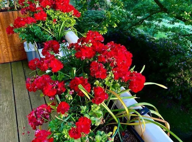 Und Kunst Apartment Dresden