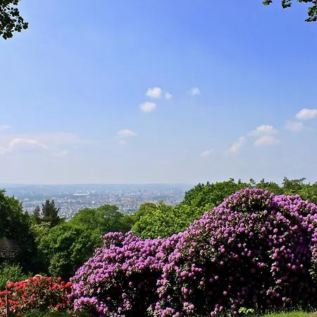 Und Kunst * ドレスデン