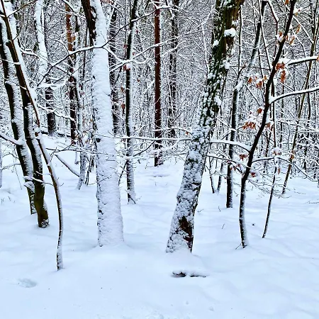 Und Kunst * ドレスデン