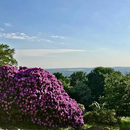 Und Kunst Appartamento