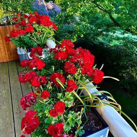 Und Kunst Apartment Dresden