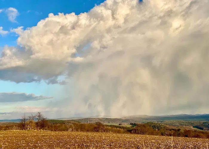 Und Kunst דרזדן