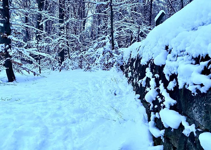 Und Kunst * דרזדן